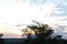 _DSC1778